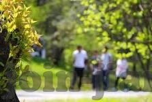 足球竟猜比分下载-揭秘足球比分竞猜，理性参与，拒绝非法下载陷阱